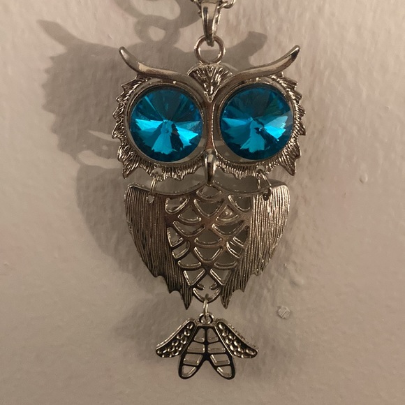 Brand New in Box Absolutely Gorgeous Infinity Slip On Blue Eyes Owl Necklace - Picture 3 of 17